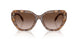 197513 - Tortoise - Brown Gradient