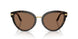 321713 - Tortoise - Dark Brown