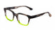 Etnia Barcelona TRENTO Eyeglasses