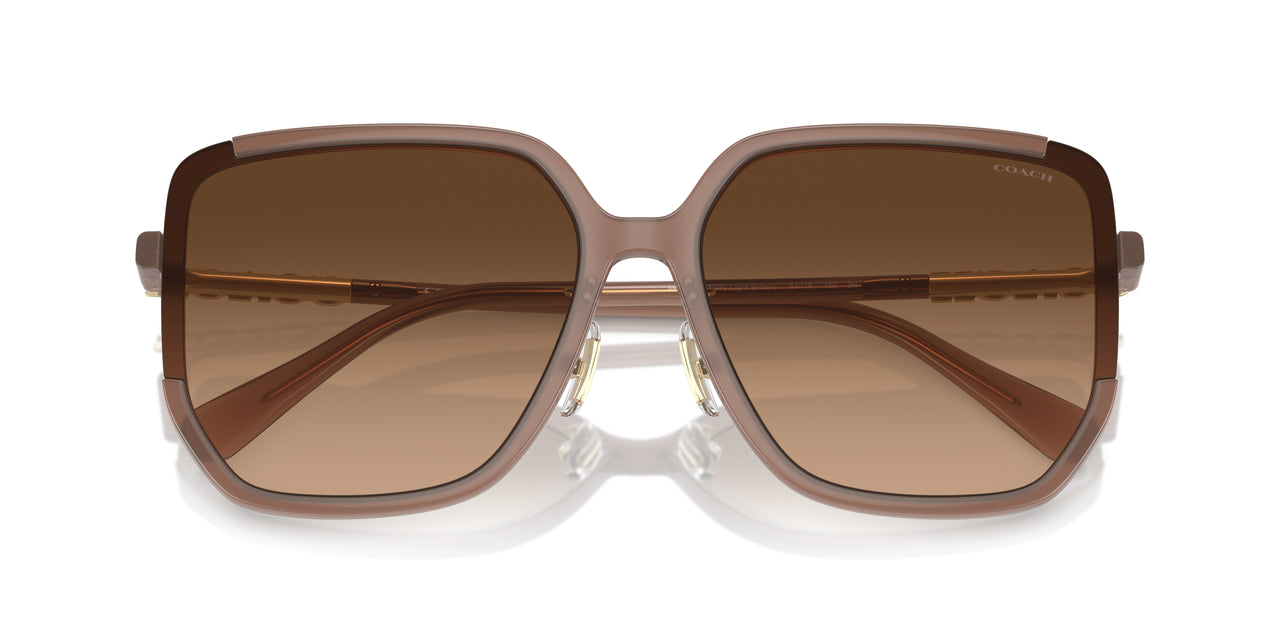 580874 - Brown - Brown Gradient