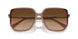 580874 - Brown - Brown Gradient