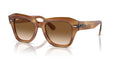 140351 - Tortoise - Clear & Brown / 49