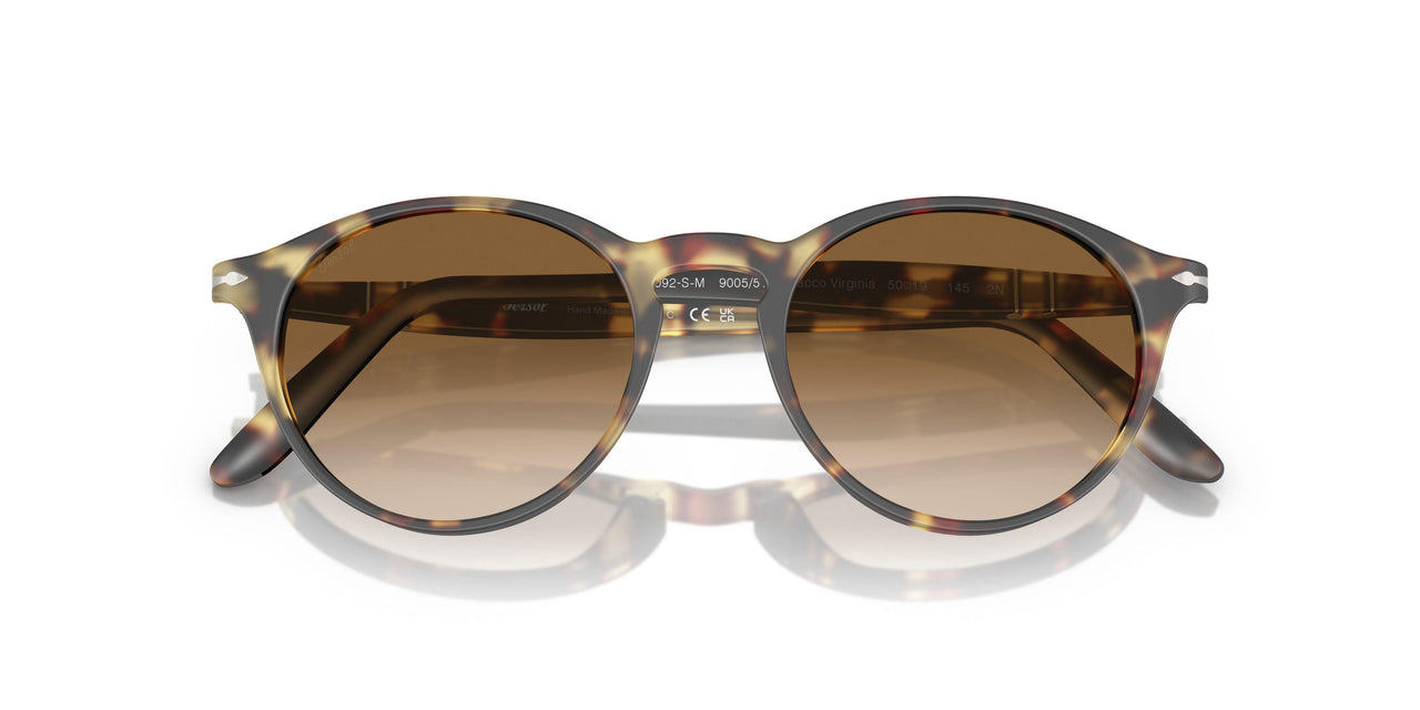 900551 - Tortoise - Brown Gradient