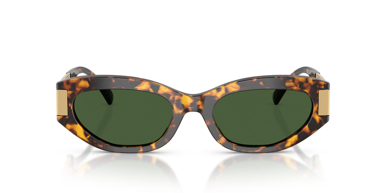 551471 - Tortoise - Dark Green