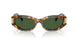 551471 - Tortoise - Dark Green