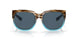 900413 - Brown - Gray 580p