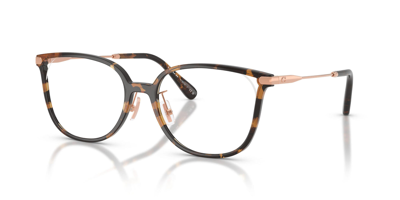 5120 - Tortoise