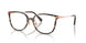 5120 - Tortoise