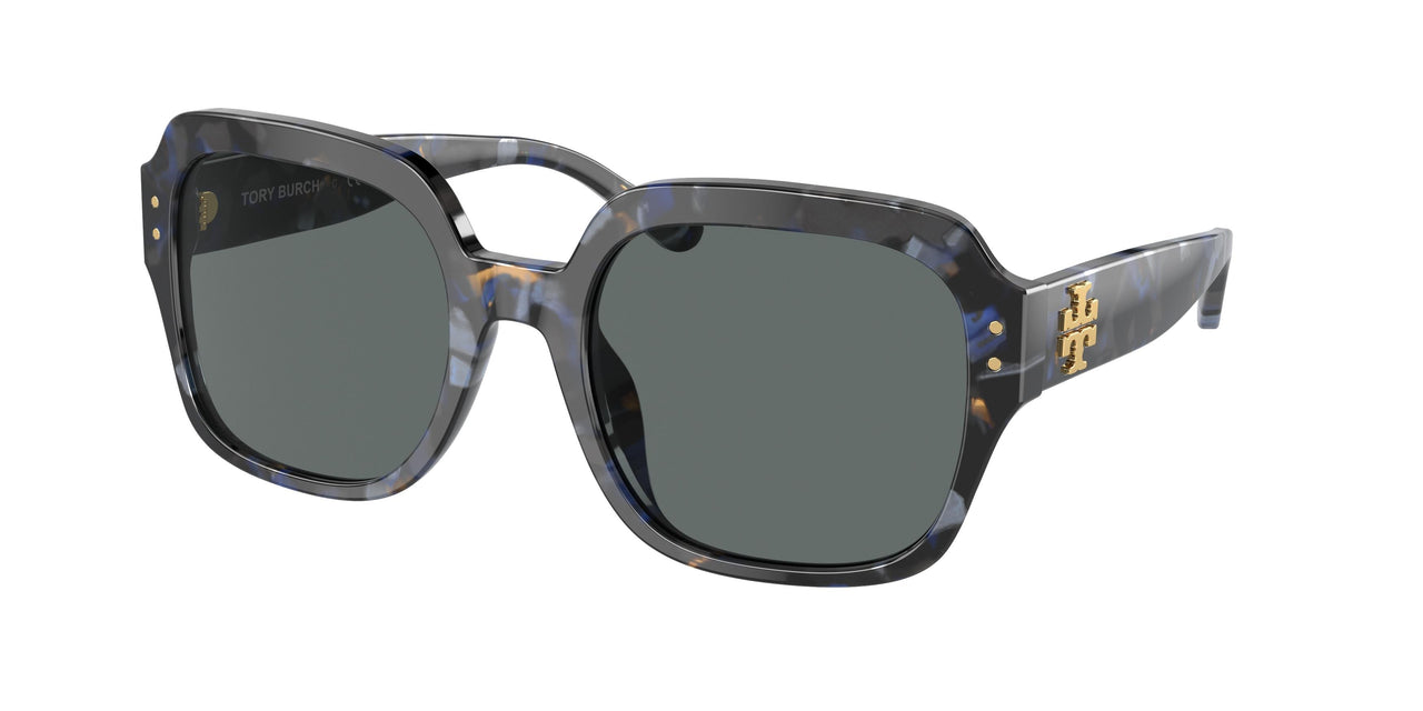 195781 - Blue - Dark Grey Polarized