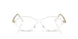 8543 - Transparent - Demo Bio