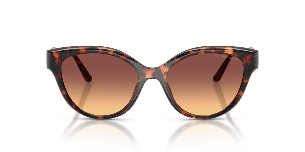 403178 - Tortoise - Brown Gradient