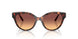 403178 - Tortoise - Brown Gradient