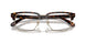 5120 - Tortoise