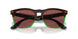 663469 - Brown - Dark Violet