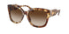 302813 - Havana - Brown Gradient