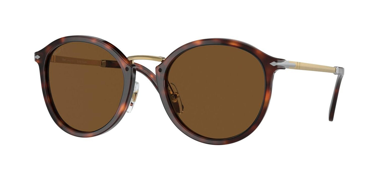 24/57 - Tortoise - Polar Brown