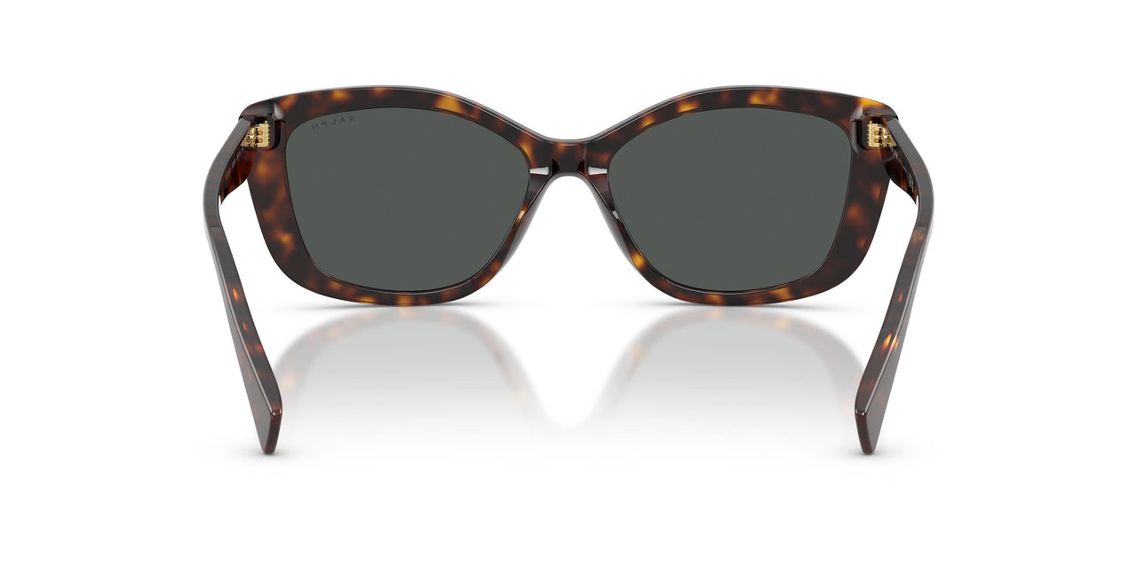 500387 - Brown - Grey