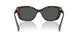 500387 - Brown - Grey