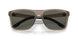 913109 - Brown - Gray