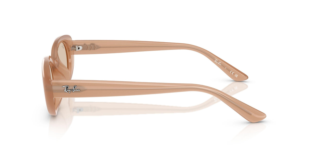 678793 - Brown - Light Brown