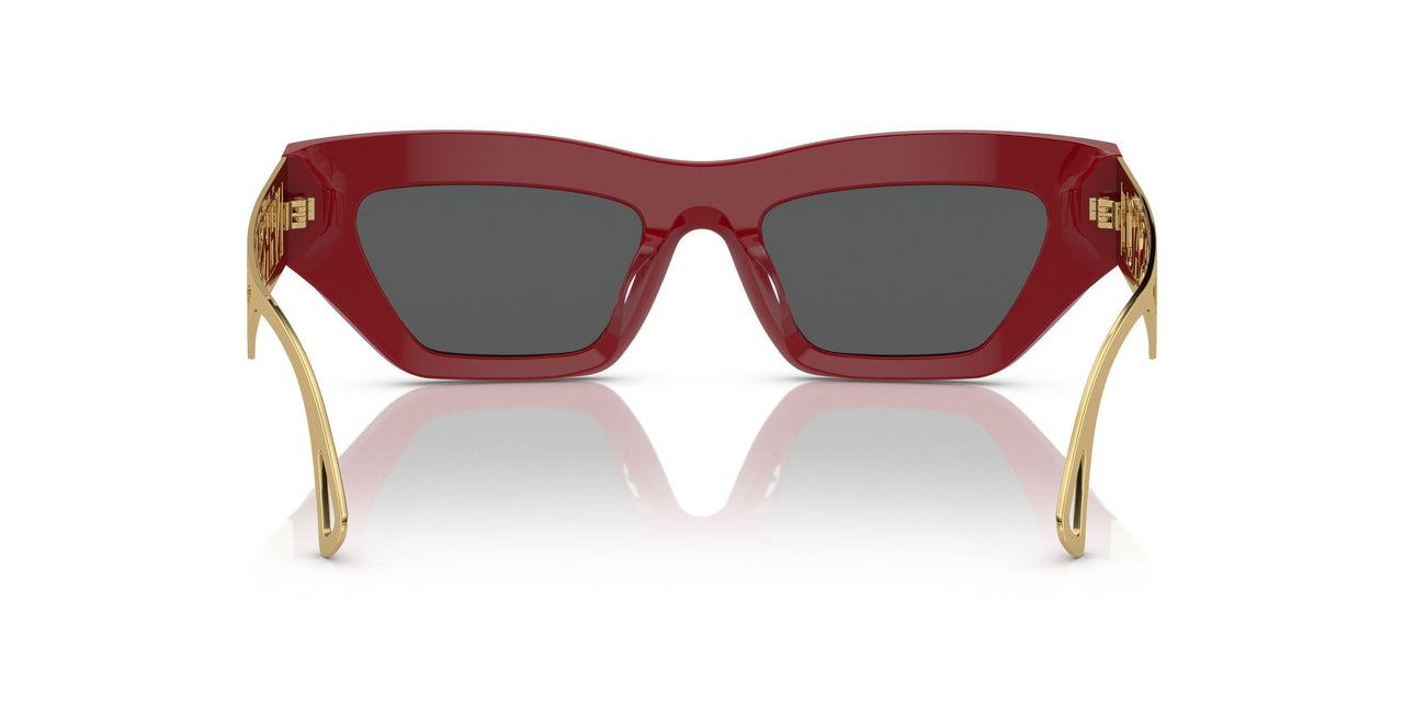 538887 - Red - Dark Grey