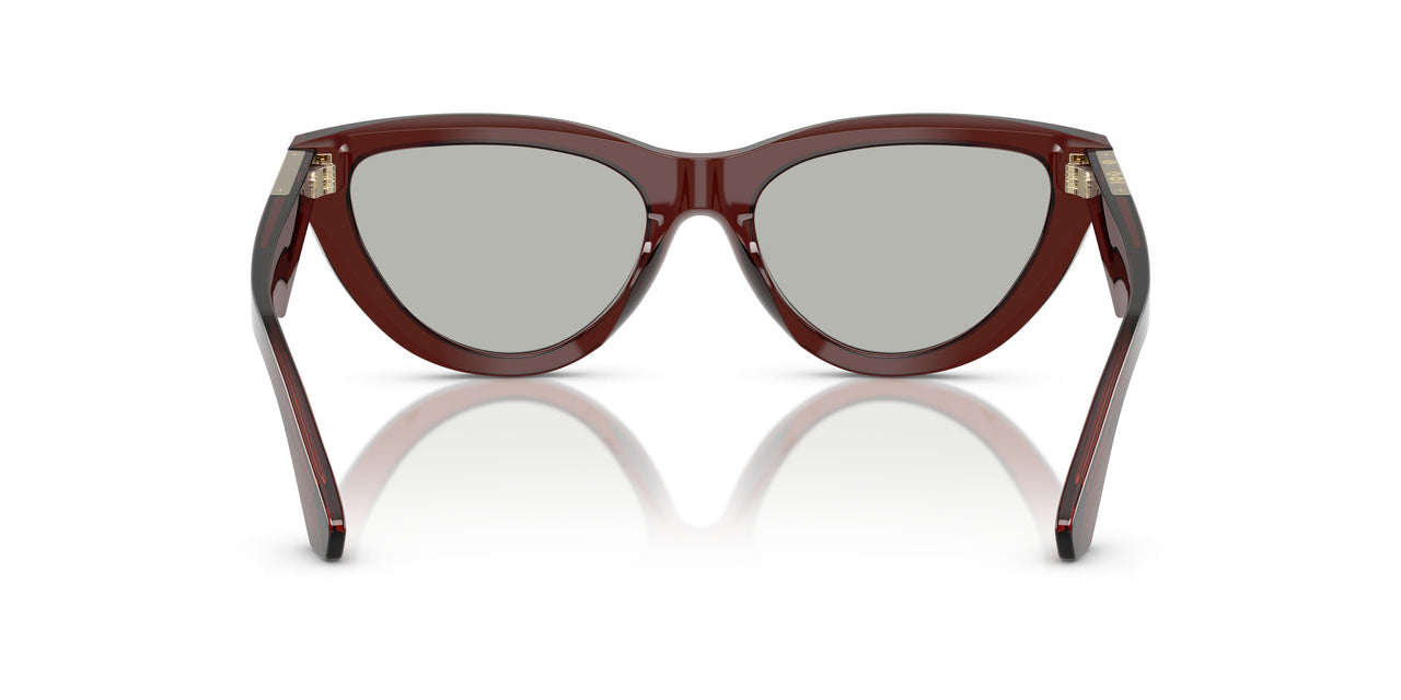 41448V - Brown - Clear Mirror Silver 80