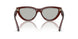 41448V - Brown - Clear Mirror Silver 80