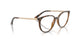 2012 - Brown - Clear