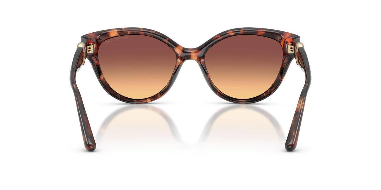 403178 - Tortoise - Brown Gradient