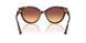 403178 - Tortoise - Brown Gradient