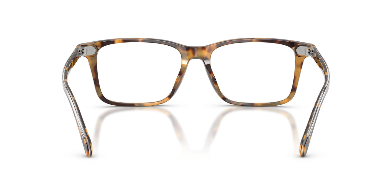 6339 - Tortoise