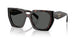 24B40L - Tortoise - Dark Grey