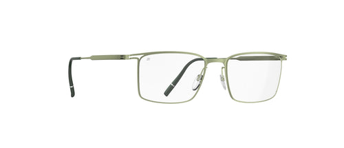 5540 - Sage Green