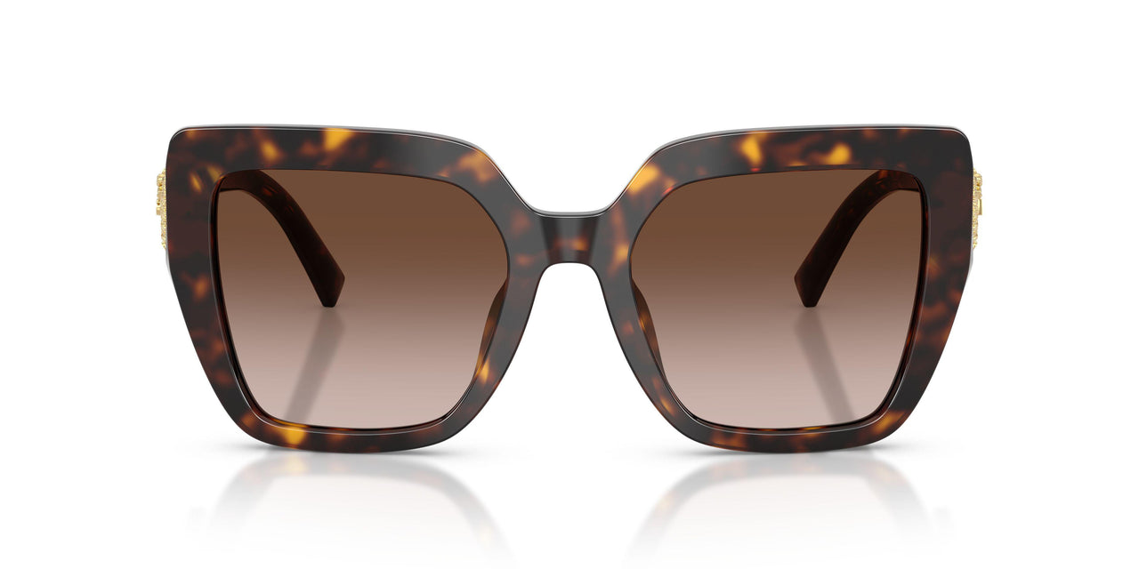502/13 - Tortoise - Gradient Brown