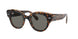 1292B1 - Havana - Dark Grey