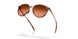 928809 - Orange - Prizm Brown Gradient
