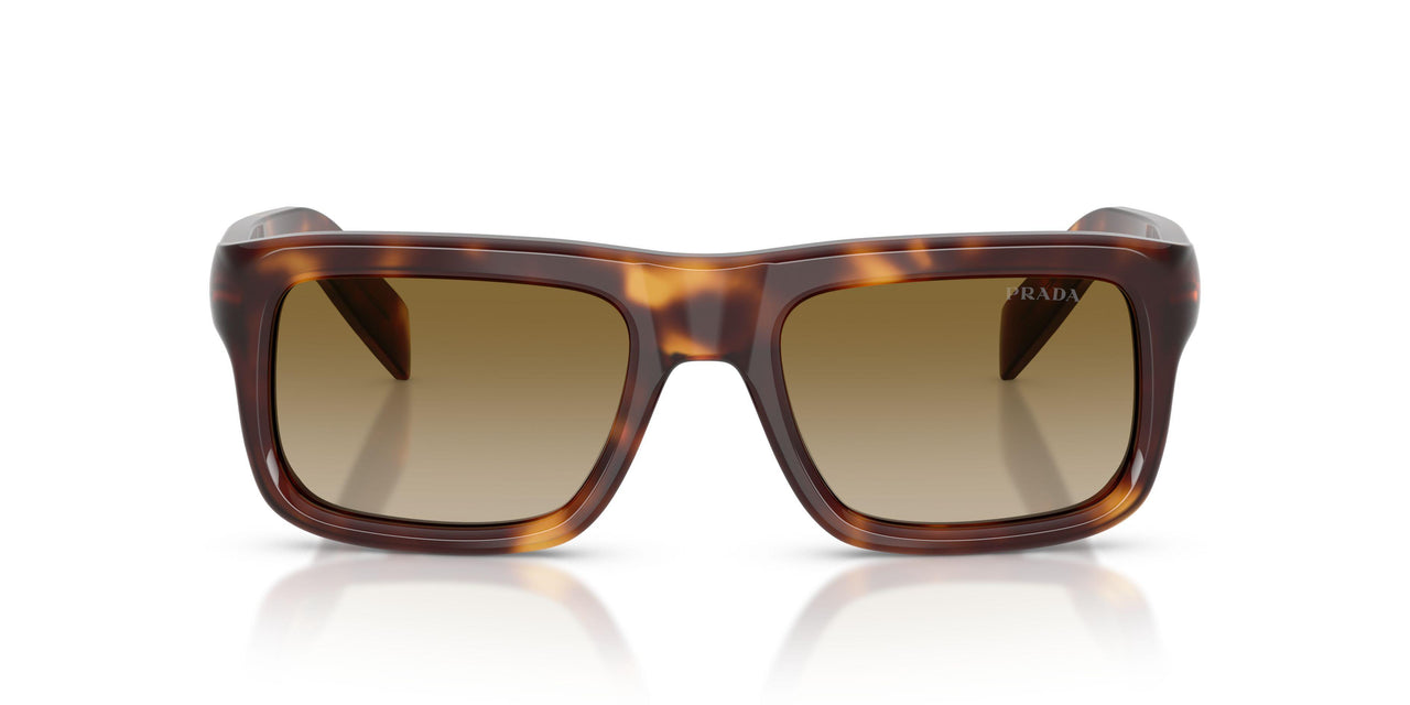 15W20U - Tortoise - Brown Gradient
