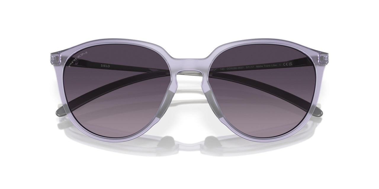 928806 - Violet - Prizm Grey Gradient