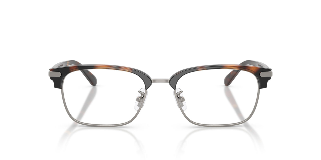 9494 - Tortoise