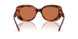 577473 - Tortoise - Brown Solid