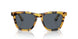 1701R5 - Black - Blue