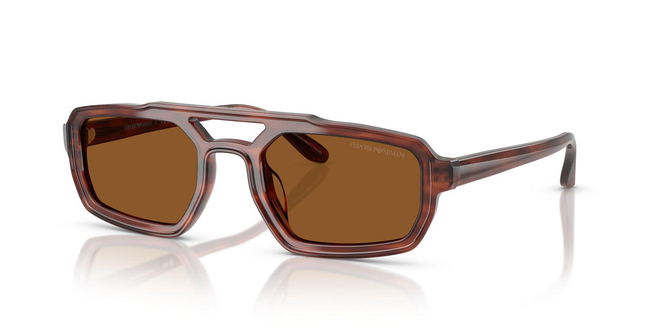 620373 - Brown - Brown