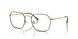 3177 - Tortoise - Clear