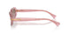 619914 - Pink - Brown Rose