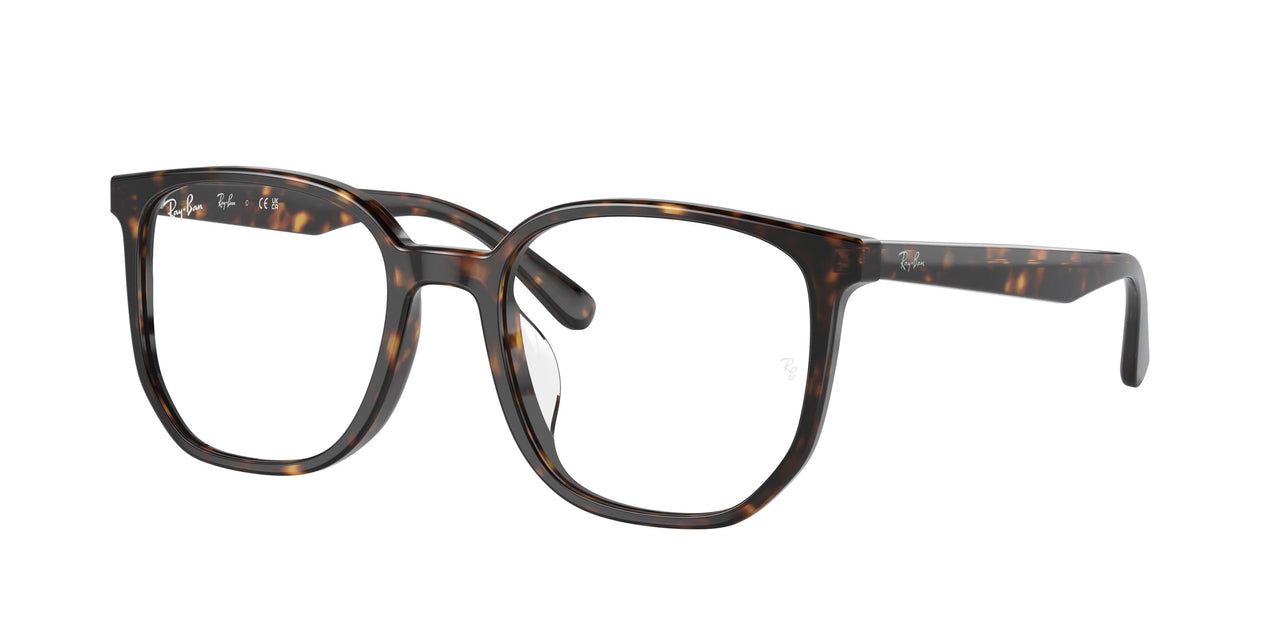 Ray-Ban 5411D Eyeglasses