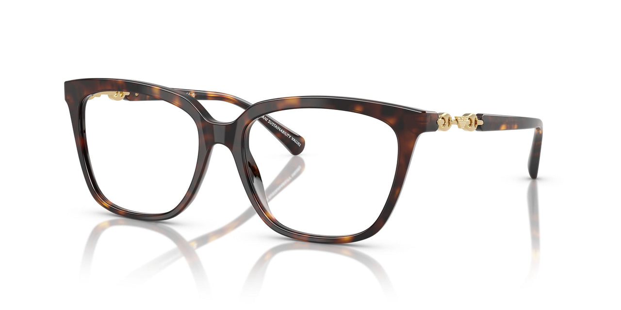 5026 - Tortoise