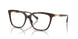 5026 - Tortoise