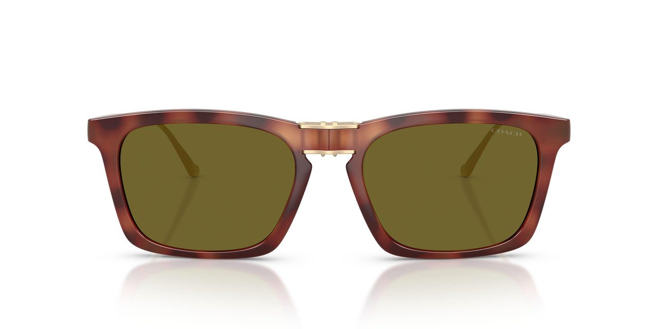 5774/2 - Tortoise - Green Solid