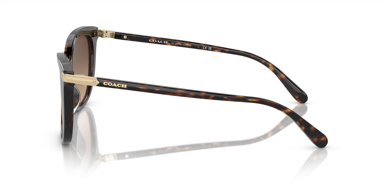 512074 - Tortoise - Brown Gradient