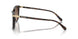 512074 - Tortoise - Brown Gradient